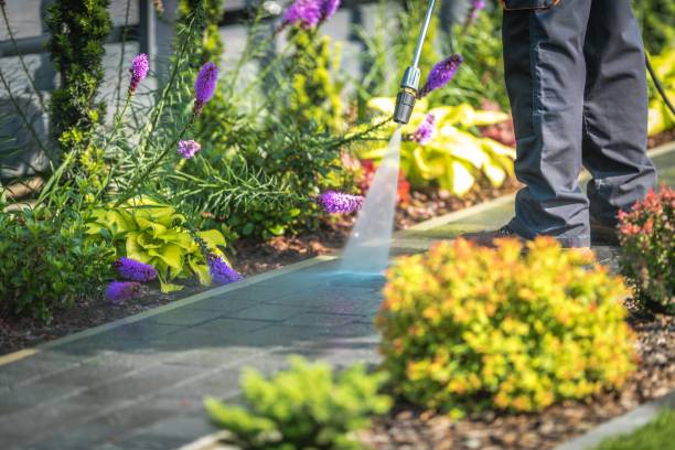 Best Soft Washing for Delicate Surfaces in Farmington, IL