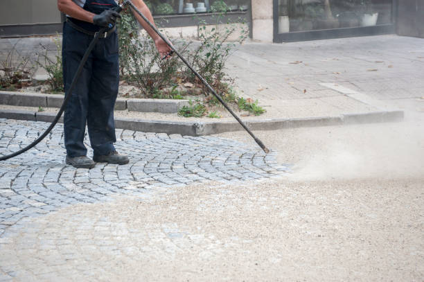 Best Driveway Cleaning and Restoration in Farmington, IL
